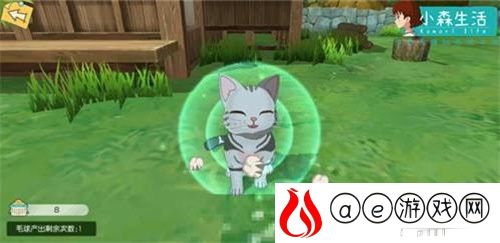 小森生活新手养猫攻略