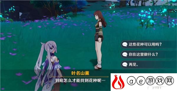 原神一袋花种作用一览
