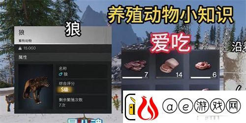 七日世界养什么动物好-七日世界动物养殖推荐