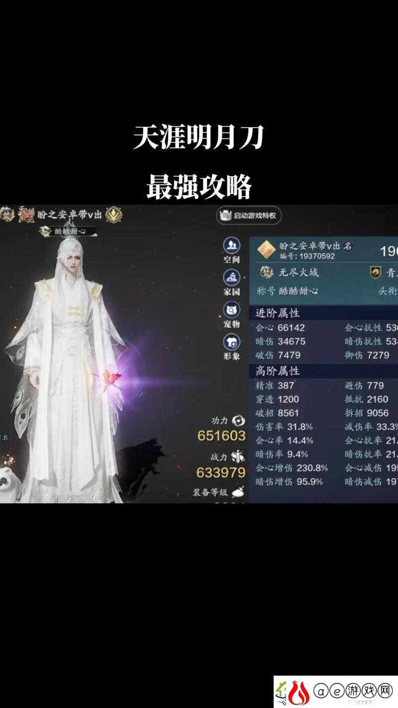 天涯明月刀手游深度解析-全面攻略教你如何高效获取天涯令