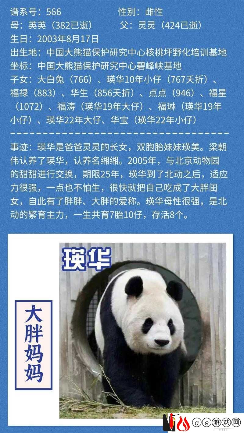 一个好胖妈妈-10-中字头强华驿的别样生活故事