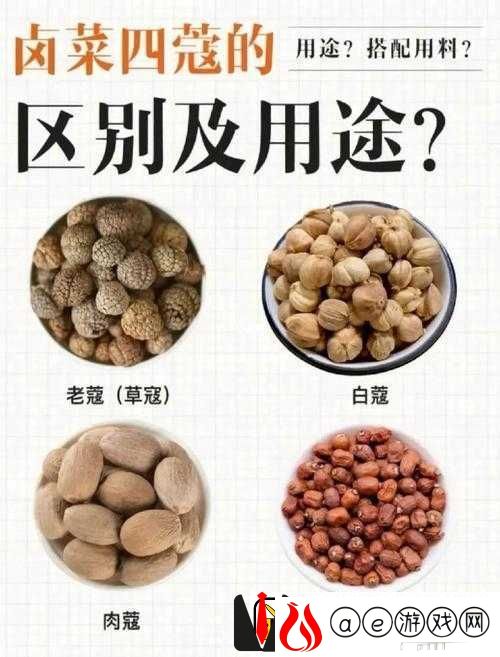 BBBBB-和-BBBBBB-的用法和作用