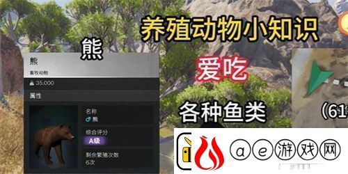七日世界养什么动物好