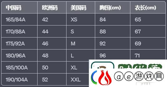 美利坚的代码狂潮-欧罗巴的数字诗篇：创新界的跨洋对决