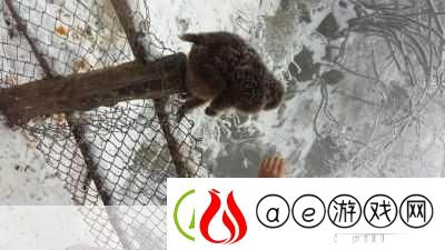 大王为何独宠我-2-模拟养成换装的奇妙之旅