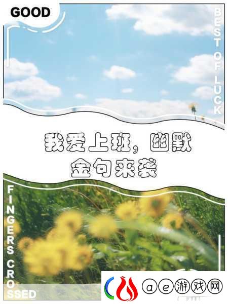 我爱上班手游来袭-解锁你的趣味休闲新体验！