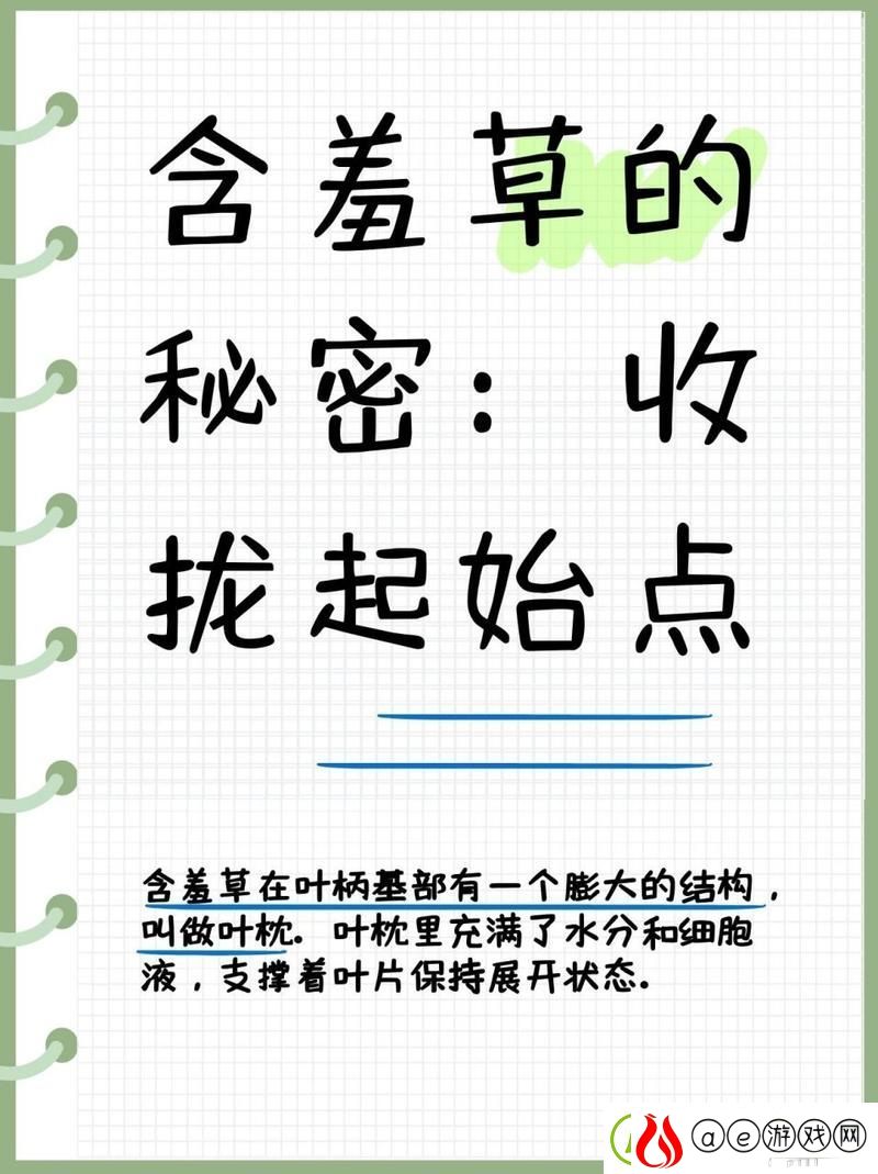 探秘含羞草背后的秘密-感受自然的奇妙
