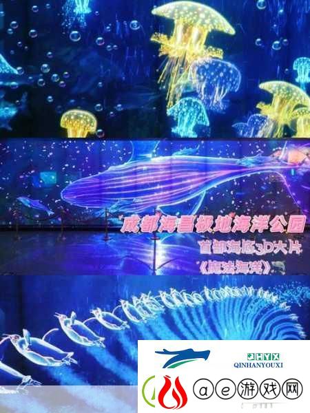 筏生存水肺潜水3D-沉浸式水下探险之旅等你来启航