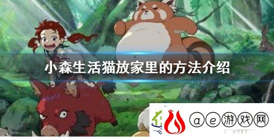 小森生活猫如何放在家里-猫放在家里的方法