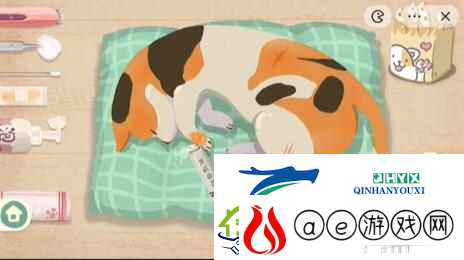 收纳物语救助喵喵怎么过