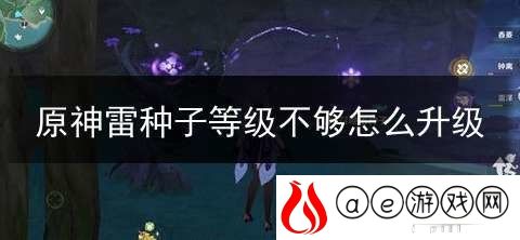 原神雷种子等级不够怎么办？-原神(荒海)雷种子等级不够怎么办的解决方法