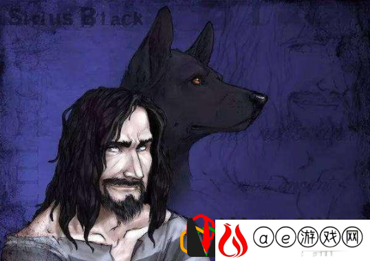 哈利波特魔法觉醒阿兹卡班怎么出去 哈利波特魔法觉醒阿兹卡班**怎么进