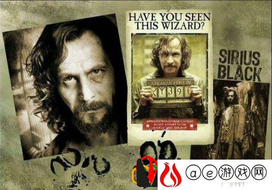 哈利波特魔法觉醒阿兹卡班怎么出去 哈利波特魔法觉醒阿兹卡班**怎么进