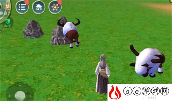 创造与魔法水稻获得攻略