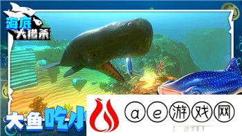《暗黑破坏神4》阿卡拉特之令位置详解：全方位指南！