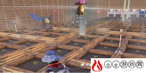 庞然大菇怎么获得 快速刷金币小窍门