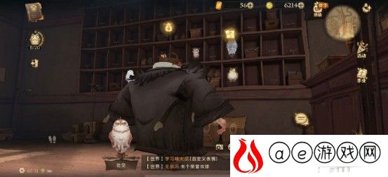 哈利波特魔法觉醒刚刚皮皮鬼穿过这里拼图收集攻略