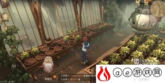 哈利波特魔法觉醒不同的植物有不同的用途拼图攻略