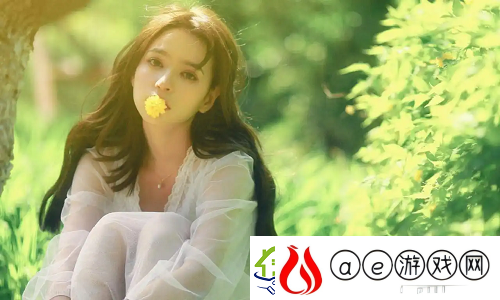 免费网站在线观看人数在哪电视剧：揭秘如何选择最流畅的在线观看平台