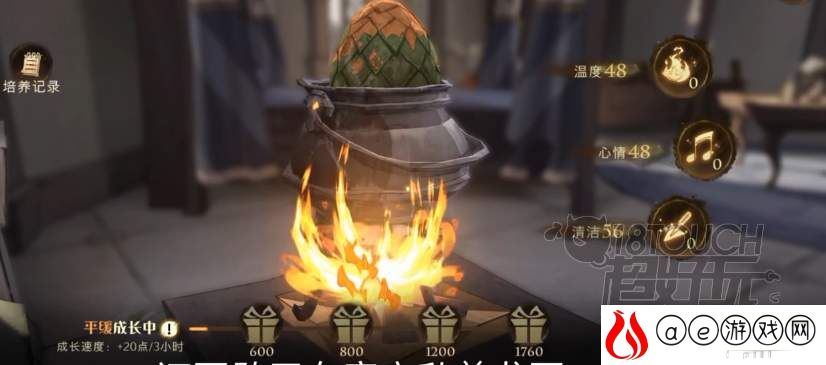 哈利波特魔法觉醒龙蛋的秘密活动攻略