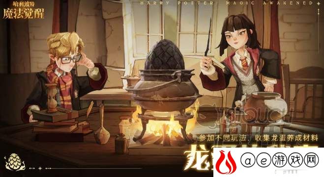 哈利波特魔法觉醒龙蛋的秘密活动攻略