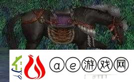 无双大蛇3游戏中松风马获取攻略-全面解析松风马获得途径与方法