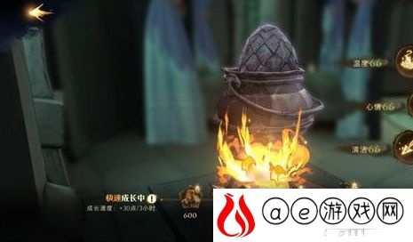 哈利波特魔法觉醒龙蛋怎么培养最好 哈利波特魔法觉醒龙蛋最强养成攻略