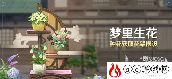 原神梦里生花活动11月攻略