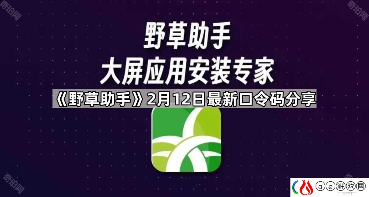 野草助手2.13最新视频口令是什么-2月13日最新口令码分享