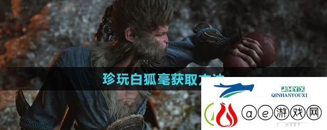 黑神话悟空白狐毫怎么获得-珍玩白狐毫获取方法