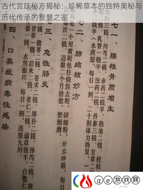 古代宫廷秘方揭秘：珍稀草本的独特奥秘与历代传承的智慧之鉴