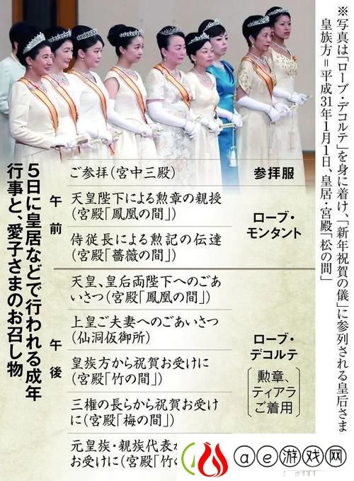 公主成年礼共大臣使用：光辉时刻的典礼盛宴