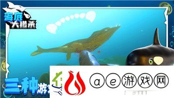 钢铁之师2多少个关卡啊怎么过-探索游戏进程与通关技巧的详细解析