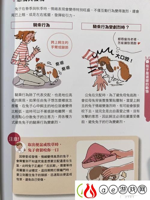 “欢乐学习：咬小兔兔的正确咬法-让你的创意飞扬”