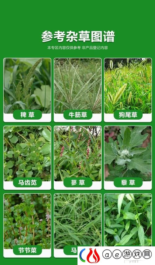 嫩草精产一二三产区上线-网友表示：期待更高品质的生活