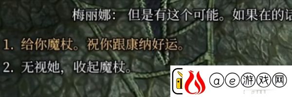 博德之门3梅丽娜法杖任务怎么完成