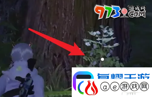黎明觉醒草木纤维怎么获得草木纤维获取方法
