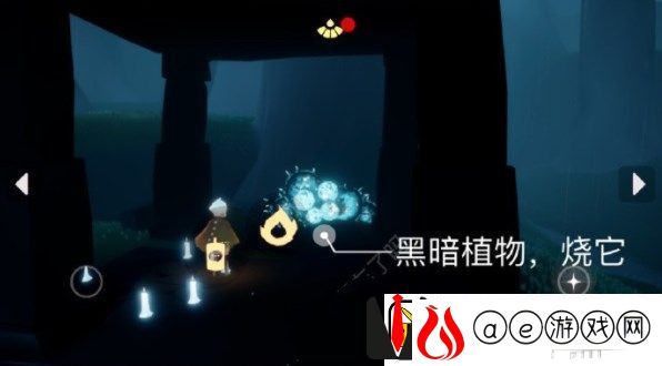 光遇8.29任务怎么做
