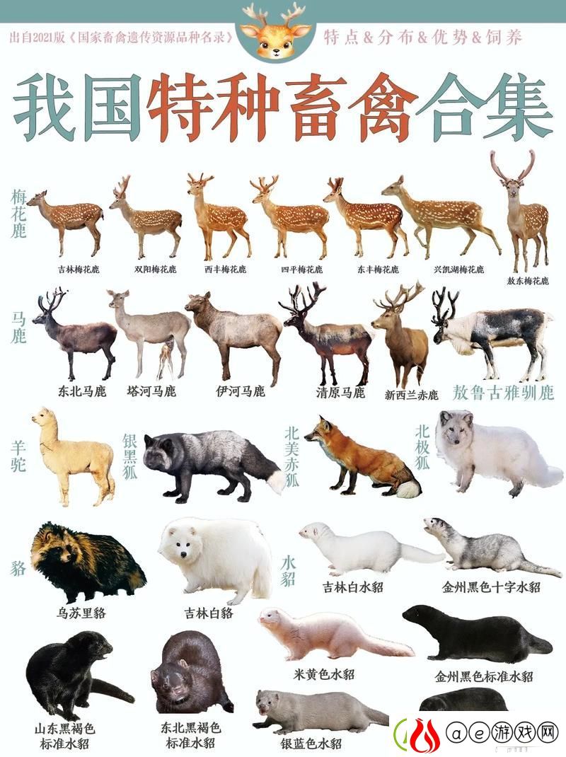 人狗畜禽公司有限公司