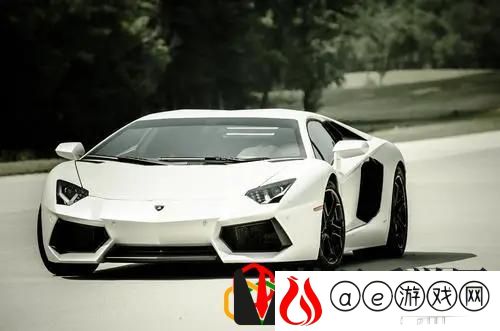 地平线5性能最好的车(地平线5比较好看点的车)