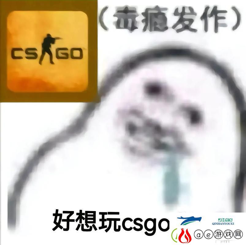 高龄“狙神”崛起！揭秘55岁大妈玩转CSGO的另类传奇