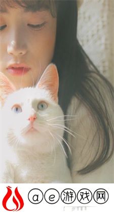 漂亮秘书的滋味2：展现她们的智慧和风采