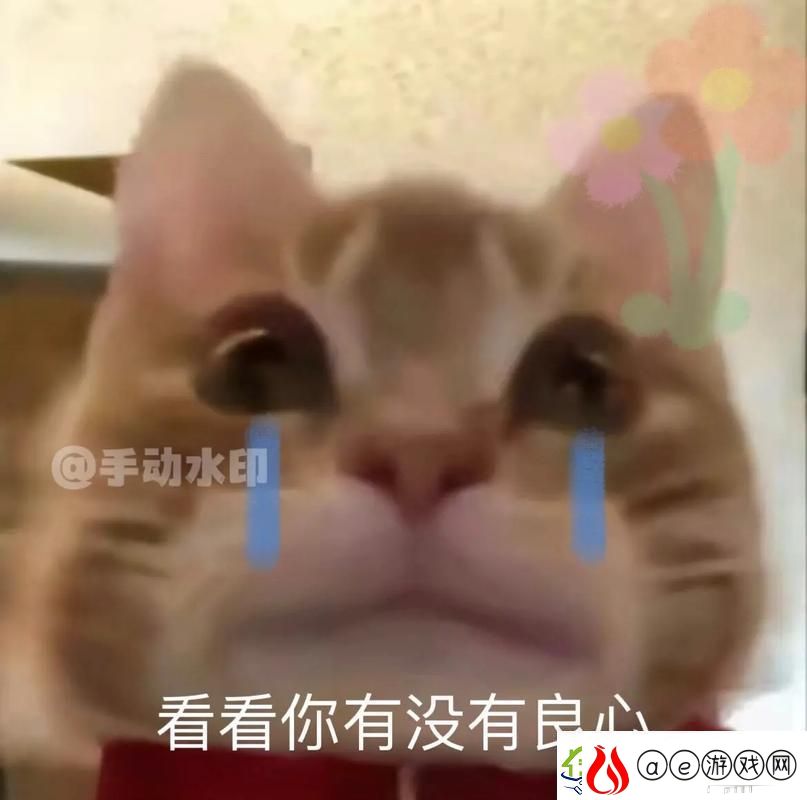 男人把QQ号放进女人表情包里友：这是一种新型的追求方式吗
