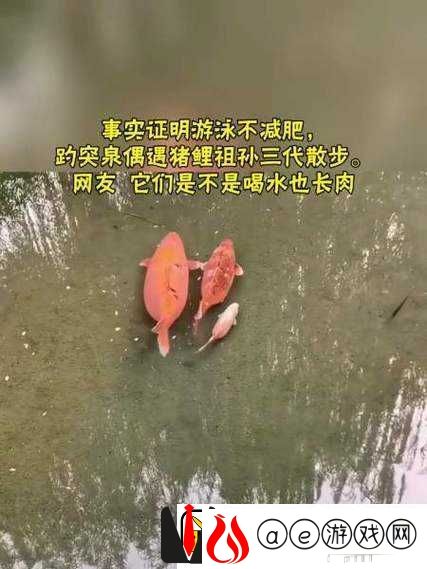 女人鲤鱼喝水：自然奇观还是文化象征