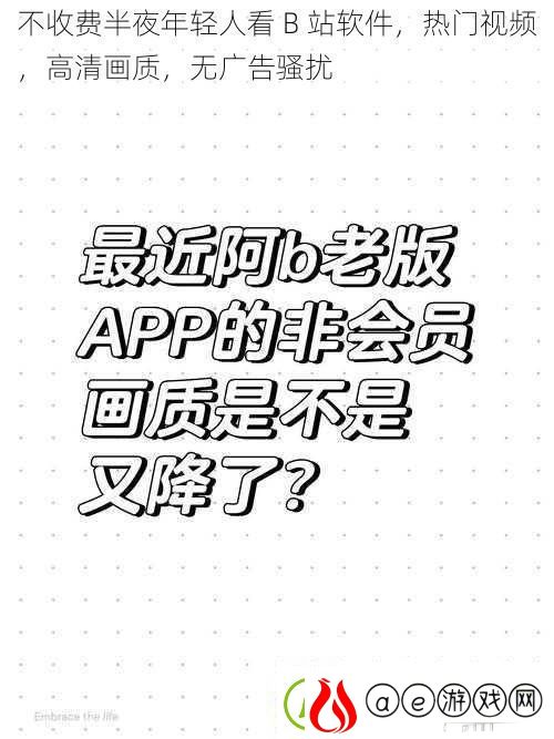 不收费半夜年轻人看-B-站软件-热门视频-高清画质-无广告骚扰