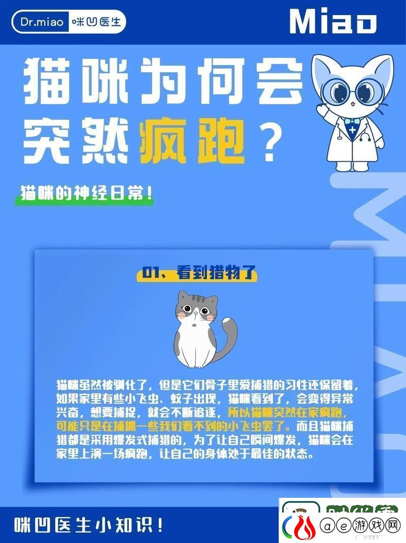 “喵星人的疯狂跑酷-科技圈的新晋网红”