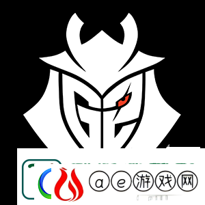 NiKo或已打完代表G2最后一场比赛