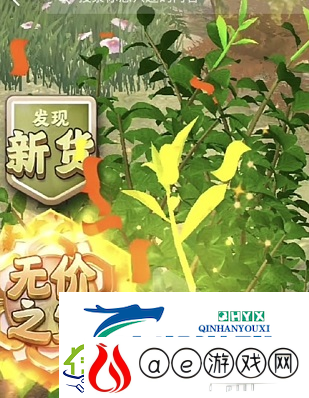 夺笋高手婺源茗眉怎么获得