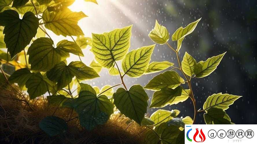 摇床和喘气声音：独特的韵律交织软件教程玩法