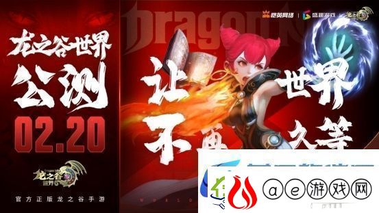开发者专栏